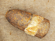 EXCAVATED 3" HOTCHKISS SHELL